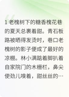 《槐花巷的甜》完结版在线阅读 《槐花巷的甜》最新章节目录