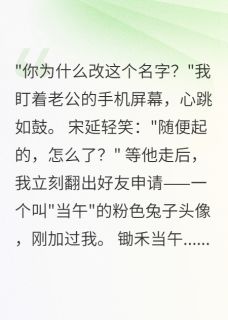 《老公改名锄禾，我查出天价贪污案》小说大结局免费试读 苏念宋延张雅婷小说全文