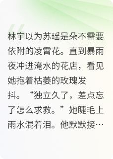 寻觅依靠的心灵免费阅读 林宇苏瑶的小说免费试读