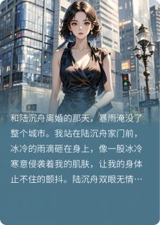 离婚后前夫跪求，我已是顶流完整版 苏晚陆沉舟全章节阅读