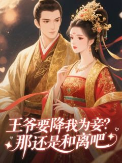 王爷要降我为妾？那还是和离吧免费阅读(萧寒苏婉儿全本资源) 无广告