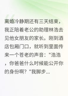《翻译官老公瞒着我认儿子三年》小说章节列表免费阅读 林浩宋墨言小雨小说全文