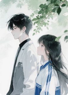 《双生夏夜晚风来》苏晚沈知珩沈知砚小说精彩内容免费试读