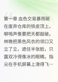 暗巷星火下的暗流涌动免费试读 林晚陆沉舟小说章节目录