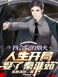 四合院的人生烟火开局娶了秦淮茹by乱世清风 何雨柱秦淮茹阅读全文