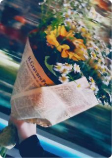 暗恋，是他新娘像极了我少年模样小说免费阅读 陆子校纪星磊小说大结局免费试读