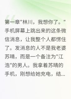 《老婆转账五百万给前男友我要离婚》小说全文精彩章节在线阅读（苏晴江浩）