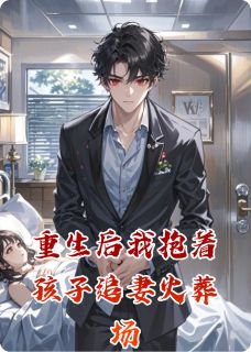 重生后我抱着孩子追妻火葬场by沈聿白苏晚完整版 沈聿白苏晚小说全集在线阅读