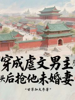 《穿成虐文男主死对头后抢他未婚妻》小说完结版免费阅读 江枫苏婉清小说阅读