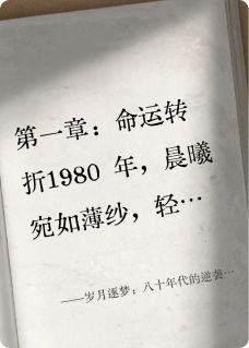 最新《岁月逐梦：八十年代的逆袭人生》林晓苏然小说在线阅读全文章节