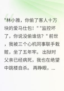 同事栽赃我偷包后，重生我杀疯了李涛王美美小雅小说全文免费阅读