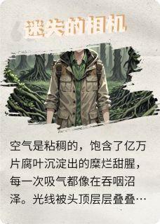 《迷失的相机》陈浩赵倩章节免费试读
