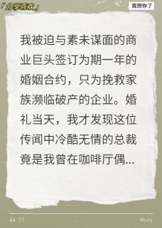 甜到捶床完整目录在线阅读 (陆沉林董) 大结局无弹窗