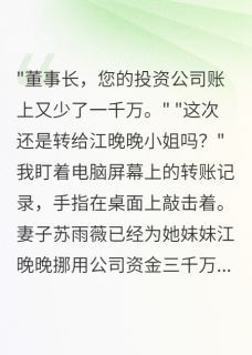 《妻子为小姨子挪用三千万公款》苏雨薇林小雅晨希小说在线阅读