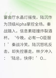 《Alpha对决夜，信息素失控绑定》小说章节目录精彩试读 陆沉林夕小说全文