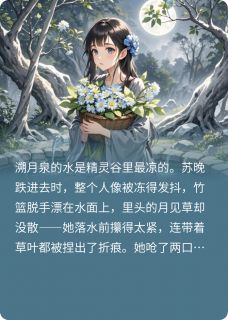 阿西尔苏晚琥珀by牵眸眸 精灵的一万个月亮，只照过一个人小说阅读