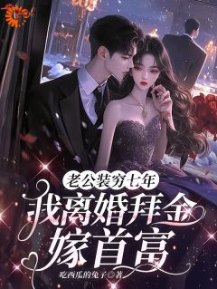 最新《拜金？我离婚后直接嫁豪门！》苏妍傅沉渊小说免费试读全文章节