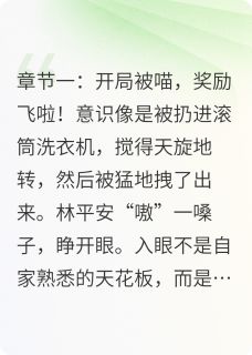 开局被喵，奖励飞啦林平安王妖妖全本大结局阅读