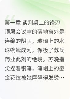 《烬途危情与黎明》苏晚陆沉舟章节目录在线试读