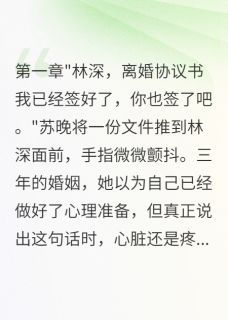 《他说从未爱过我》小说章节列表在线阅读 苏晚林深小说全文