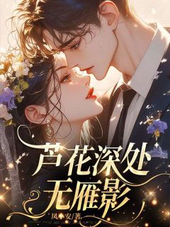 主角是白晚清裴少珩的小说在哪看 《芦花深处无雁影》小说阅读入口