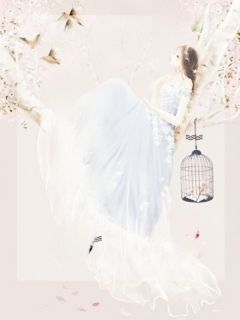 春色晚来慰寒冬完整版 商念慈席南禹全章节阅读