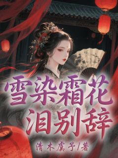 雪染霜花泪别辞小说全集免费在线阅读（殷婉意江砚择）