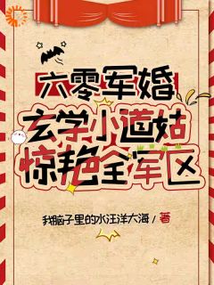 六零军婚，玄学小道姑惊艳全军区沈清梧陆沉 by我脑子里的水汪洋大海完整在线阅读