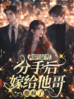 《和阴湿男分手后嫁给他哥，他疯了》小说完结版在线试读 苏晚傅斯年小说全文