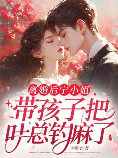离婚后，宁小姐带孩子把叶总钓麻了不视圣 离婚后，宁小姐带孩子把叶总钓麻了在线阅读