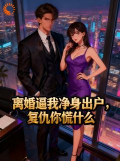 叶秋苏婉晴 离婚逼我净身出户，复仇你慌什么完结版在线阅读