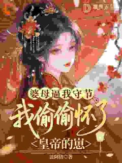 婆母逼我守节，我偷偷怀了皇帝的崽by沚阿情 兰渺景襄帝小说全本
