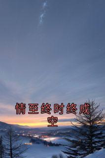 情至终时终成空免费阅读(宋清媛顾辰全本资源) 无广告