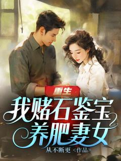 《重生：我赌石鉴宝养肥妻女》小说全文免费试读 沈浩王红梅小说阅读