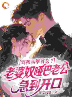 《骂我高攀首长？老婆奴哑巴老公急到开口》小说章节列表精彩试读 苏晚晴陆砚小说全文