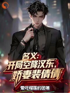 《名义：开局空降汉东，娇妻裴倩倩》小说章节目录免费阅读 李毅裴倩倩小说全文