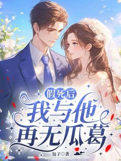 《假死后，我与他再无瓜葛》小说全文精彩章节在线阅读（苏晚陆沉渊）