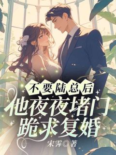 《不要陆总后，他夜夜堵门跪求复婚》小说章节目录免费阅读 温知妤陆湛小说全文