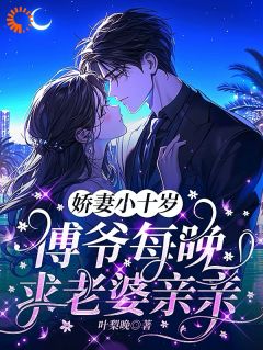 傅屿夏笙小说 搞事业一把手，谈恋爱你就掉链子(傅屿夏笙)小说阅读
