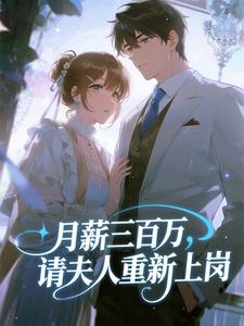 月薪三百万，请夫人重新上岗安予棠谢时叙小说完整篇在线阅读