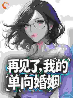 《再见了，我的单向婚姻》小说章节列表免费试读 宁澜叶衍小说阅读