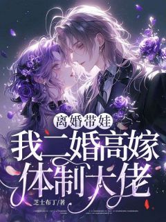 小说离婚带娃，我二婚高嫁体制大佬乔宁苏宴礼章节免费在线阅读地址