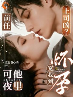 《报告总裁，您还有个孩子在门外》南枳沈胤章节列表精彩阅读