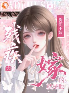 残疾大佬狗都不！嫁！嫁的就是他林稚晏清免费阅读 残疾大佬狗都不！嫁！嫁的就是他饼干猫