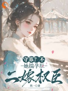 《守寡？不，她揣孕肚二嫁权臣》小说完结版精彩试读 司柠沈言酌小说阅读