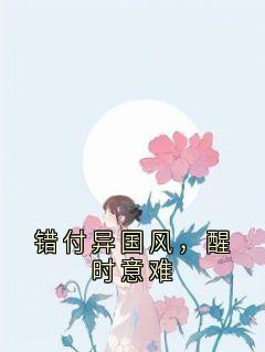 《错付异国风，醒时意难》大结局在线试读 《错付异国风，醒时意难》最新章节目录