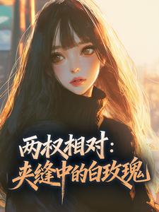 甄珠儿陆沉章节目录 两权相对：夹缝中的白玫瑰全文阅读