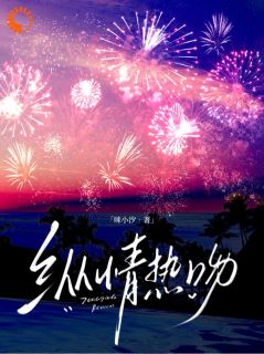 《纵情热吻》苏芷棠穆影柯章节目录精彩阅读