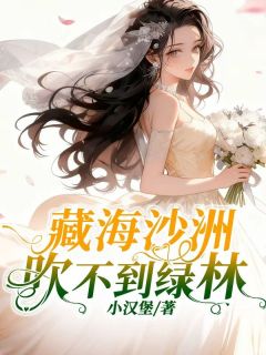 《藏海沙洲吹不到绿林》大结局精彩试读 《藏海沙洲吹不到绿林》最新章节列表