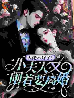 《大佬不好了！小夫人又闹着要离婚》小说全文精彩章节免费试读（林媛周骏）